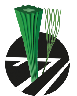 Vertex CORE