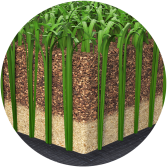 PureFill - Cork